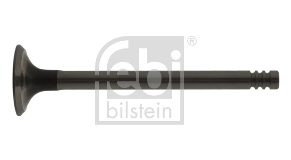 Exhaust Valve